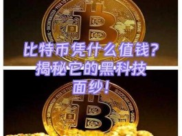 揭秘比特币是什么啊背后的神秘面纱