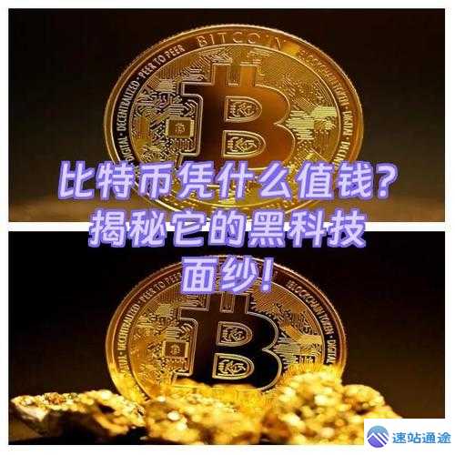 揭秘比特币是什么啊背后的神秘面纱 第1张 揭秘比特币是什么啊背后的神秘面纱 第1张